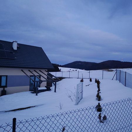 Blizejgorcow Villa Lubomierz  Eksteriør billede